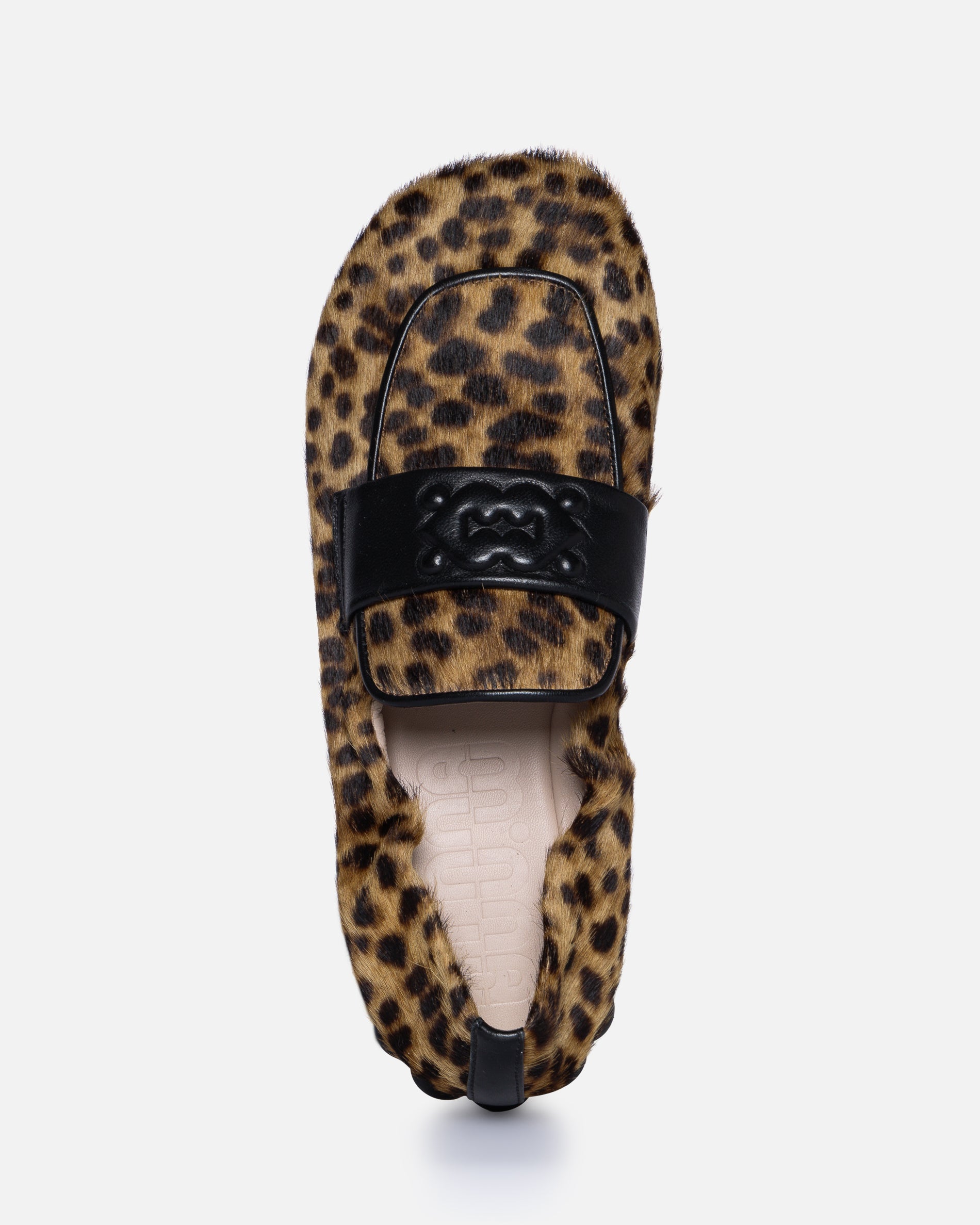 Sam Leopard