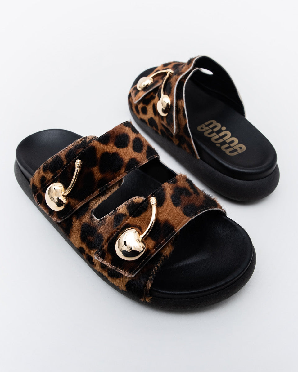 Pit Leopard