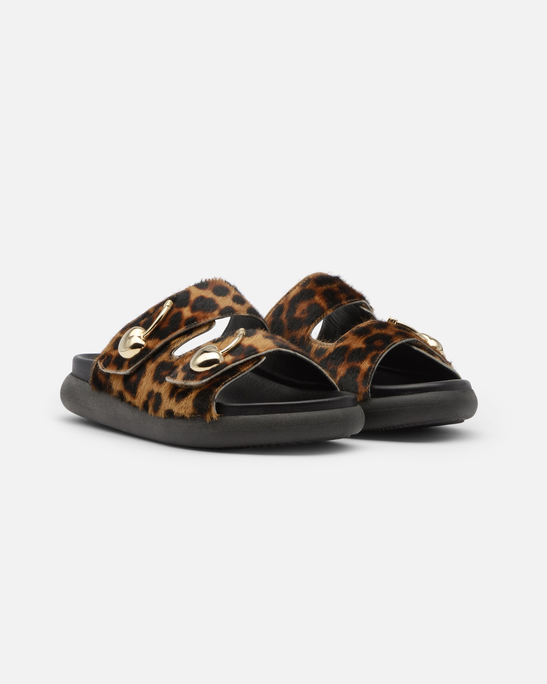 Pit Leopard