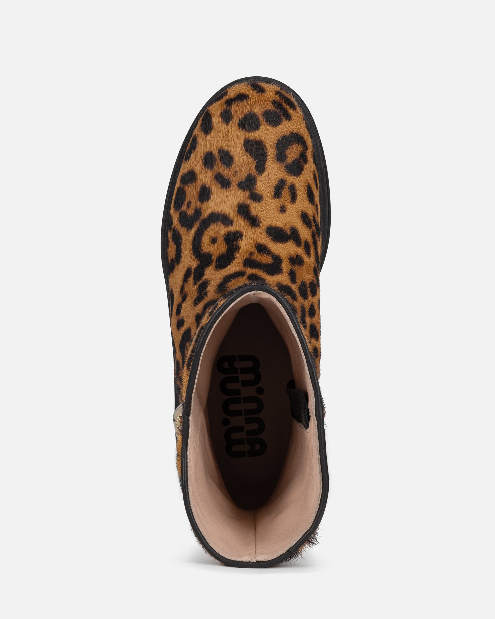 Sour Leopard
