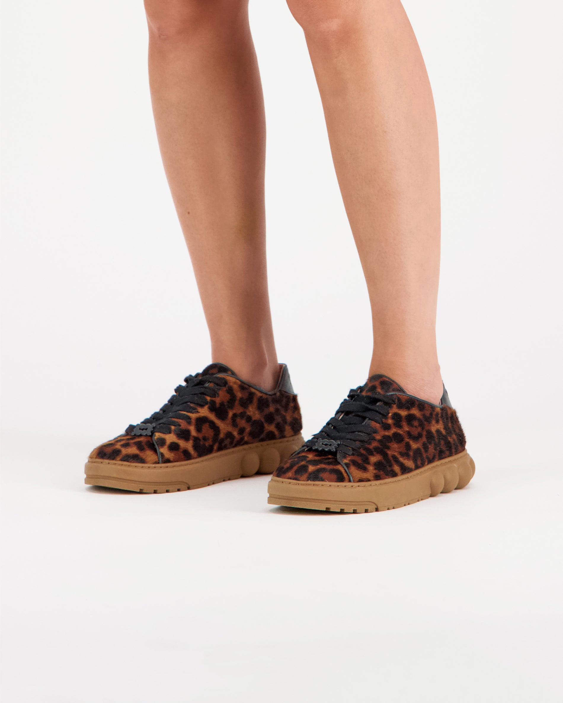Slick Leopard