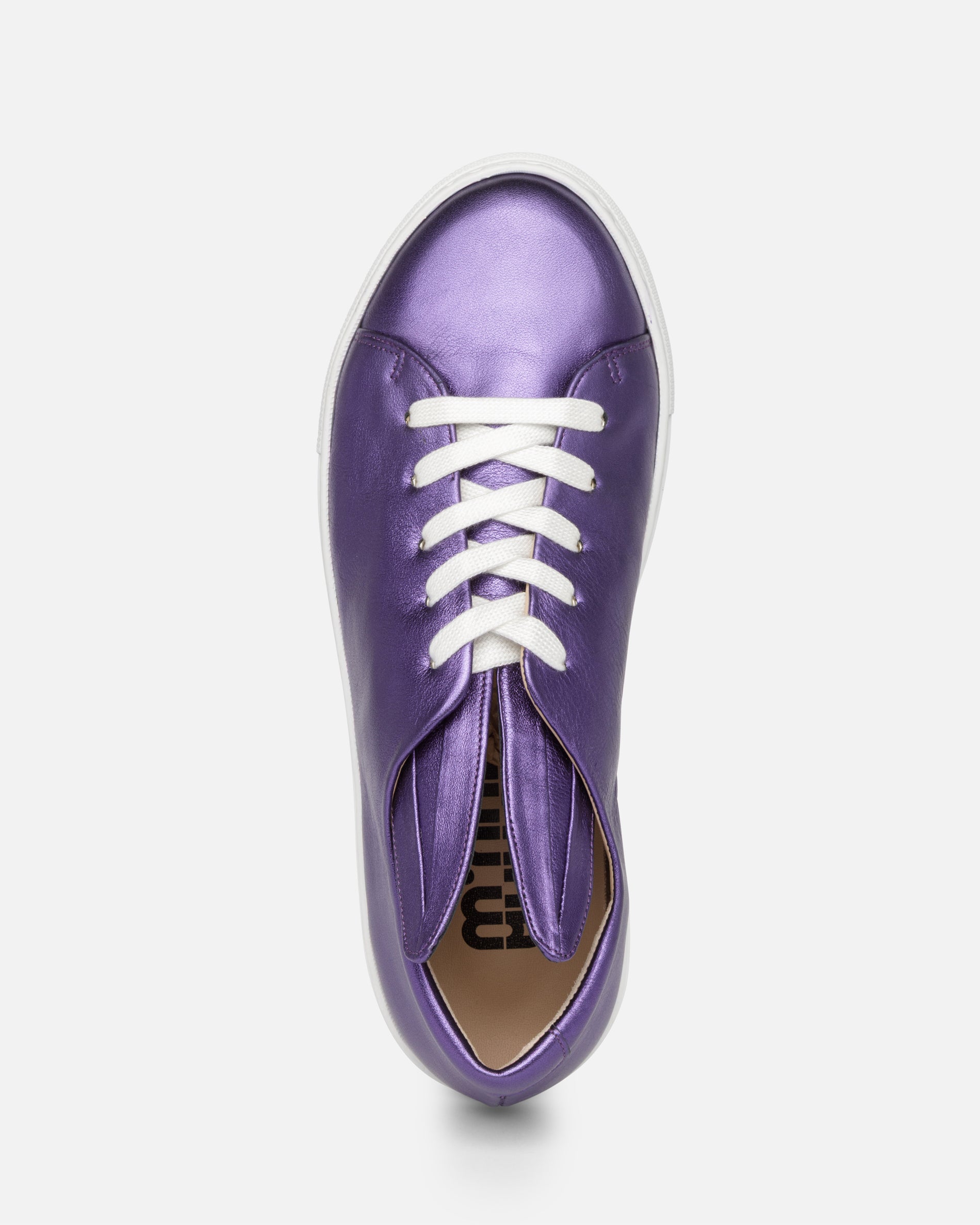 All Ears Purple