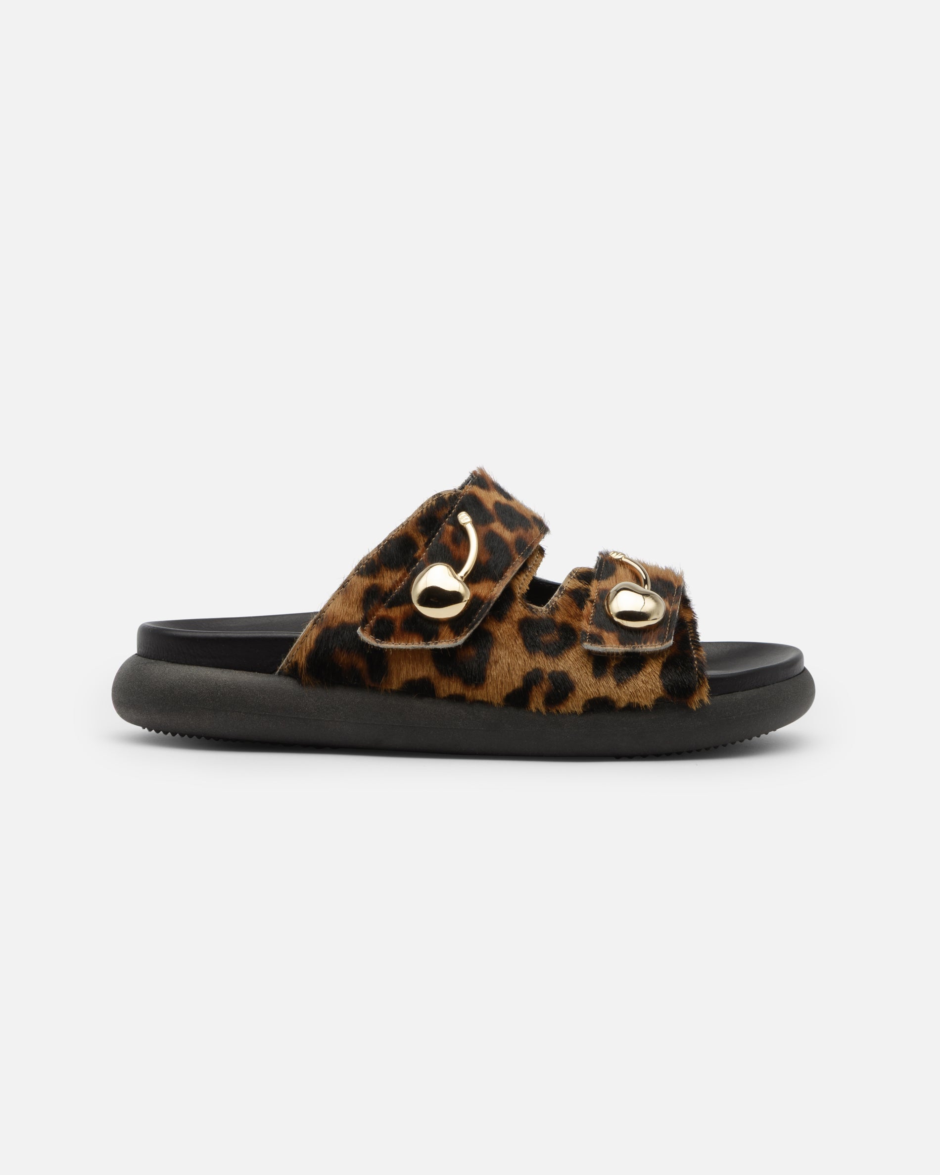 Pit Leopard