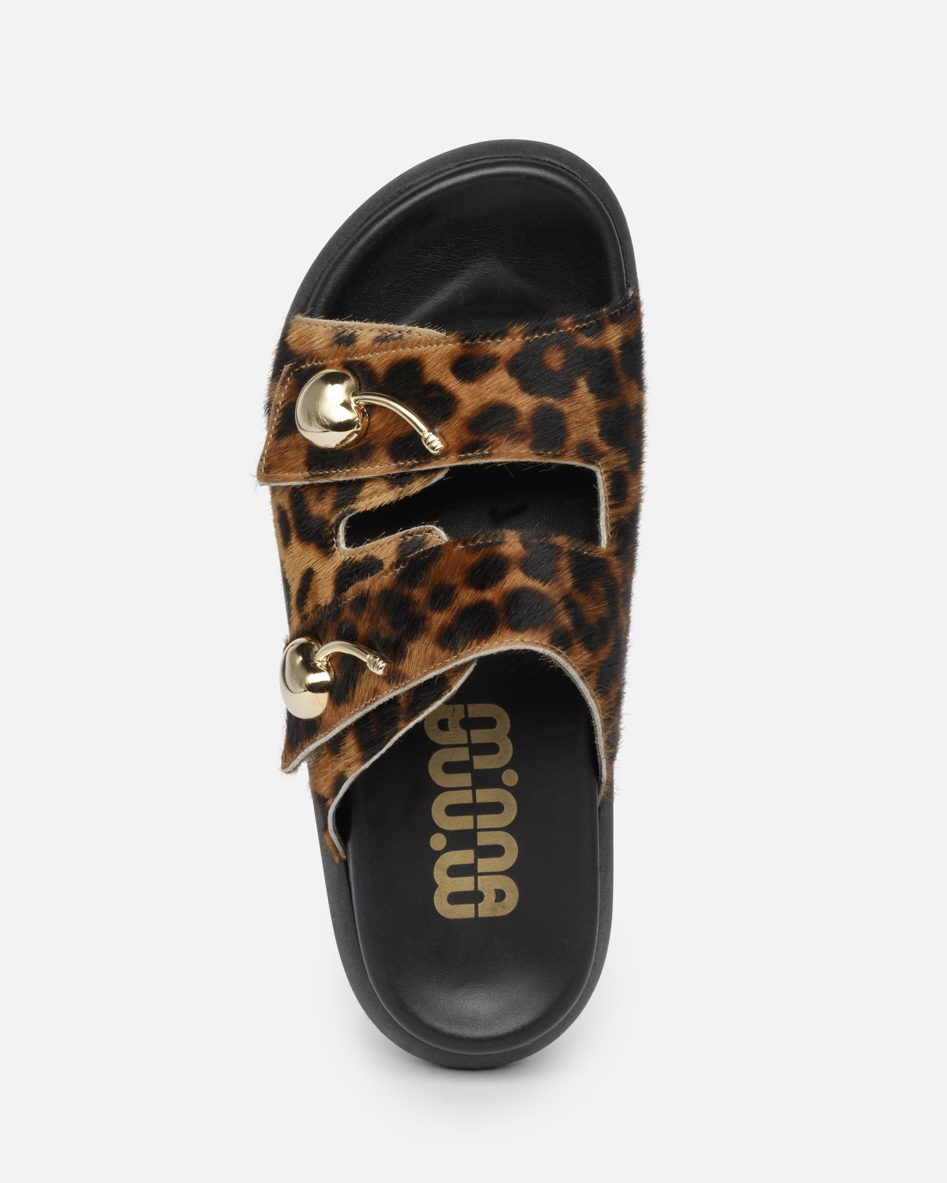 Pit Leopard