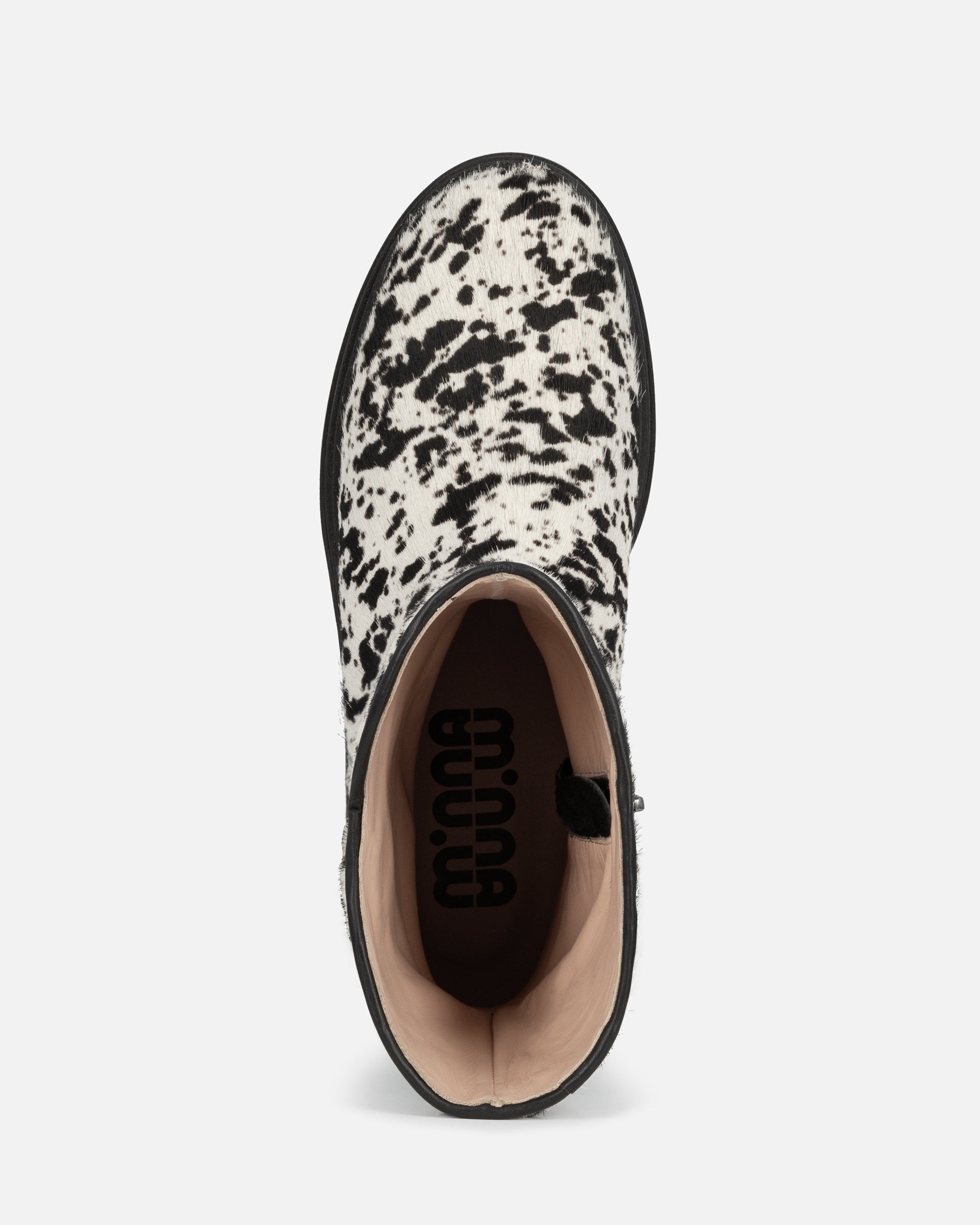 Sour Dalmatian